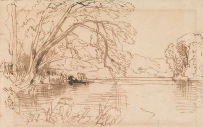 A Tree Overhanging a River