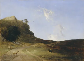 Moorland Landscape
