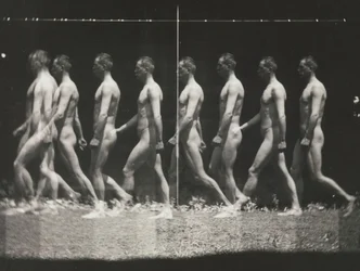 Man Walking, Stroboscopic Photograph, 1880s, printed 1930s-40s