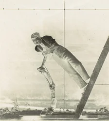 Man on a Ladder with Dissected Horse