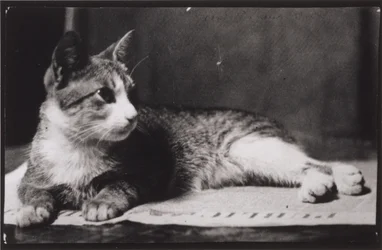 Mrs. Thomas Eakins
