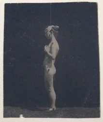 Unidentified Model