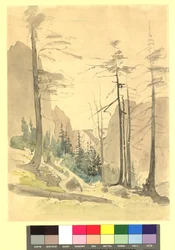 Mountain Landscape - Study