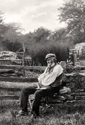 The Woodman