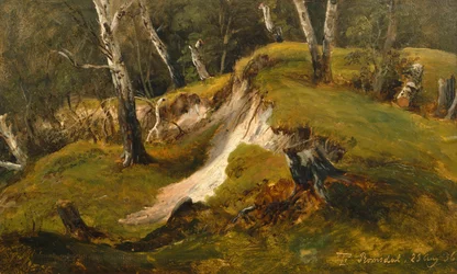 Birch Stocks in Romsdal