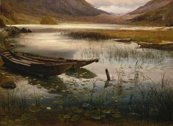 Boats and Waterlilies