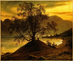 Old Birch Tree at the Sognefjord