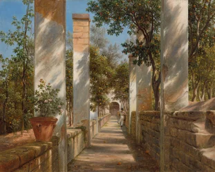 Pergola with Oranges