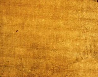 Watermark in reverse of image 352792
