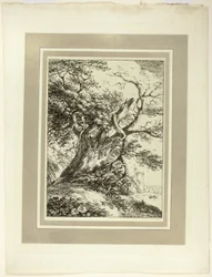 Old Tree, from the first issue of Specimens of Polyautography