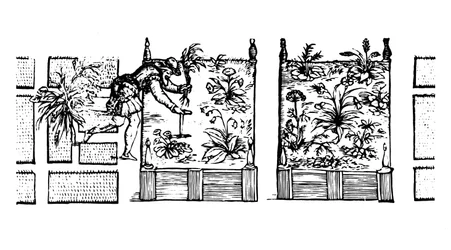 Planting in raised beds, from 