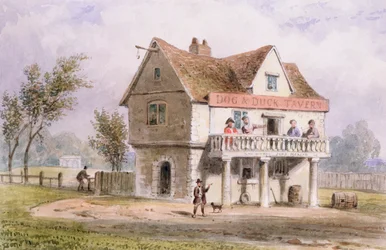 A View of the Old Dog and Duck, St. George