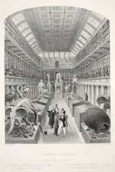 Hunterian Museum, Royal College of Surgeons, from 