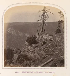 Wahwonah — Or Big Tree Point