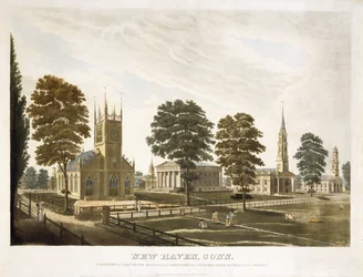 New Haven, Conn. Comprising A View Of The Episcopal & Presbyterian Churches, State House & Yale College