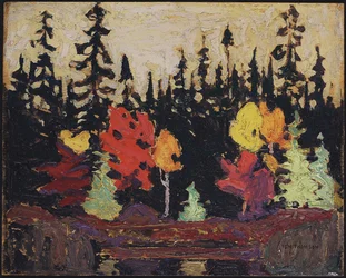 Black Spruce and Maple