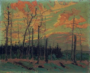 Burnt Land at Sunset