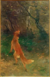 Fox Watching a Bird