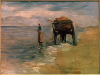 Seaweed Fisherwoman