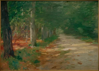 Forest Path with Sunspots