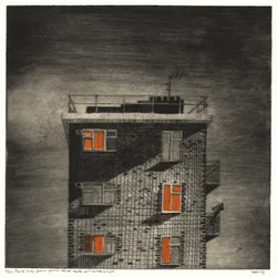 Parlé (View from a Forensic Mental Health Unit Window, Night)