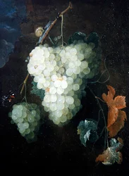 A Still Life with Grapes, a Red Admiral and a Snail