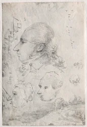 Studies of Heads