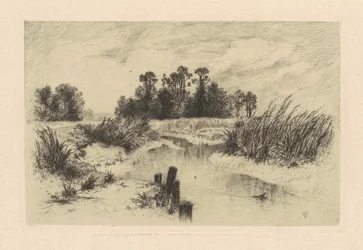 In the Newark Meadows