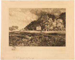 Long Island Landscape