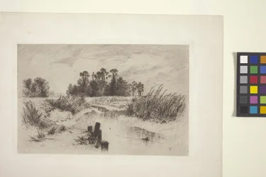 Marshy Landscape with Stream