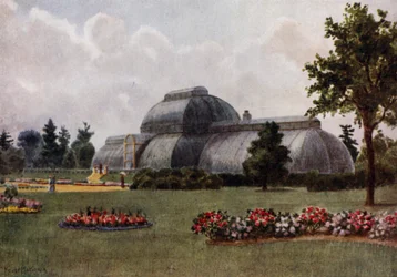 Kew Gardens: The Palm House