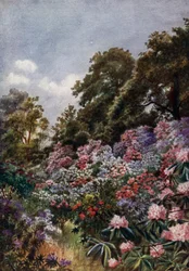 Kew Gardens: The Rhododendron Dell