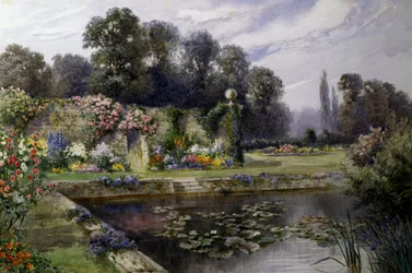 The Lily Pond