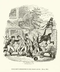 Illustration for Valentine Vox