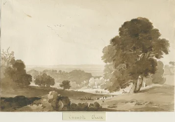 Cannock Chase