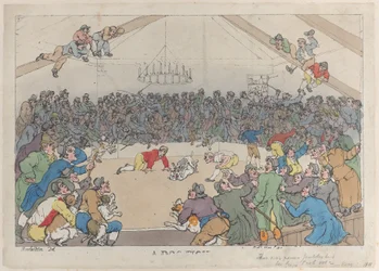 A Dog Fight