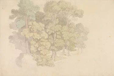 A Group of Trees