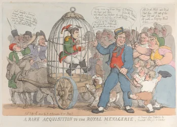 A Rare Acquisition to the Royal Menagerie, July 28, 1815
