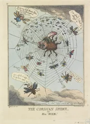 The Corsican Spider, in His Web!