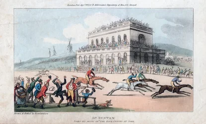 Dr Syntax Loses his Money at the Race Ground at York