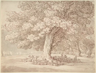 Herd of Deer Under an Oak Tree
