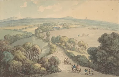 Landscape