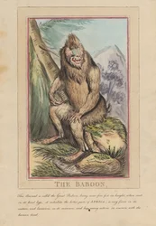 Set of Eight with Title-Page. 