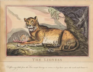 Set of Eight with Title-Page. 