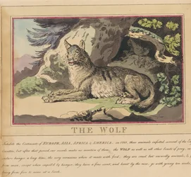 Set of eight with title-page. 