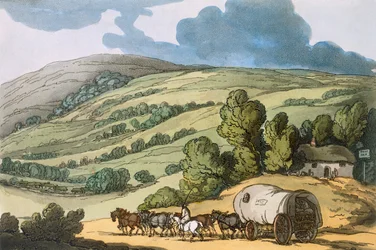 Taunton Vale, Somersetshire
