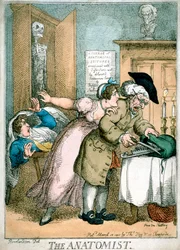 The Anatomist