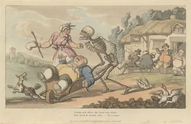 The Sot The English Dance of Death, plate 12