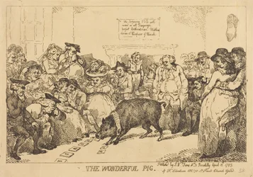 The Wonderful Pig