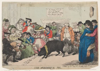 The Wonderful Pig, April 12, 1785